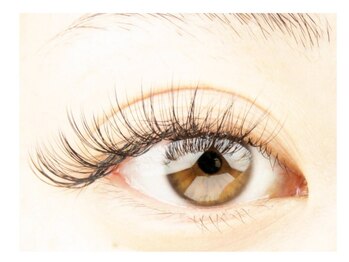 ルシード スタイル オルガ(LUCID STYLE Orga)/