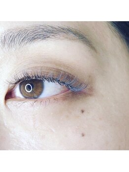 エジェ(eje)/カラーラッシュ