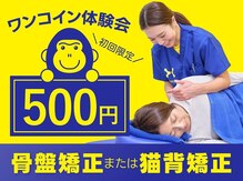 ほねごり接骨院 はりきゅう院 入間市役所前院