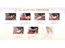 スリムライク 鳥取店(The SLIM LIKE)の雰囲気（7種類の効果のある最先端マシンでオーダーメイド痩身サロン）