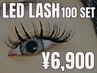 新規:LED LASH|ボリューム100束 or フラット120本