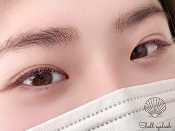 シェルアイラッシュ 自由が丘店(Shell eyelash)/まつげエクステ/ブラウン/カラー