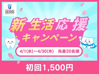 センス(SENSE)の写真