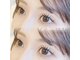リリー(LILY)の写真