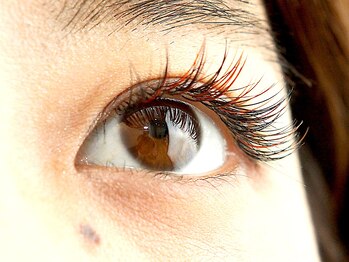 アイラ(aira)/カラーミックス 黒×ボルドー