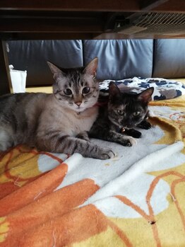 優心柔整院/家族