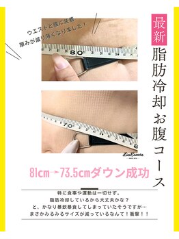 ヒーリングリゾート ナゴミ(Nagomi)/脂肪冷却