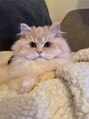 スワン 浜松駅前(SUWAN)&nbsp;うちの猫ちゃん