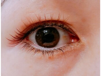 オレンジスター バイ パッセージ(ORANGE STAR BY PASSAGE)/ブラウンぱっちり[相模大野]