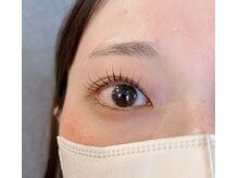 アルメリアリッセ(Armeria lisse)/ラシュッシュリフト