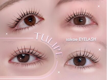 チュリップサカエ(Tulipe sakae)の写真