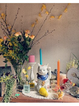 シーネイルズ(Shee nails)/