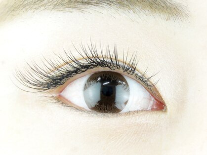 ナミダラッシュ 秋葉原店(NAMIDALASH)の写真