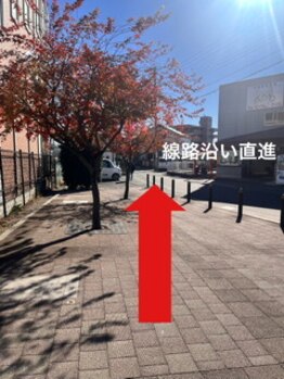 ミント/線路沿いを直進