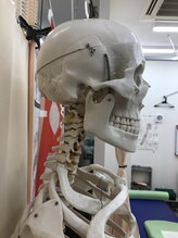 おなが浦添当山整体院/頭蓋骨調整で頭スッキリ！