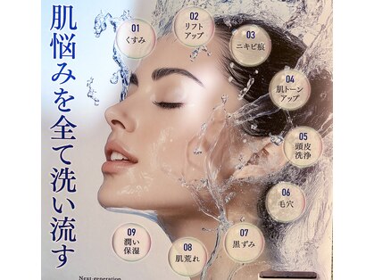 ハル(Hal)の写真