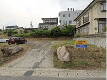 ネリネ(Nerine)/【駐車場情報】