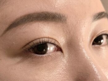 トムオウル(TOMOWL)/眉WAX&ラッシュリフト(上)