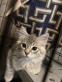 エトラ 目黒(etora)&nbsp;猫飼ってます(=^x^=)実家は犬飼ってますU^ェ^U
