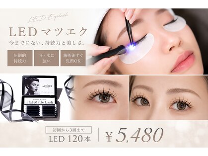 チェリッシュ 博多(CHERISH)の写真