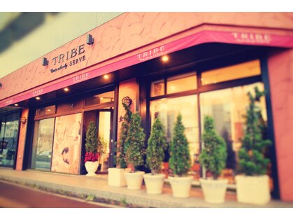 トライブ クリエートサロン(TRIBE create salon by SERVE)の写真