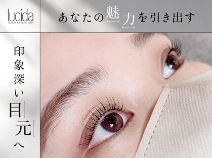 ルシーダ(lucida)の写真