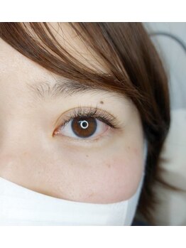 ルピナス 武蔵小金井店(Lupinus)/LEDフラットラッシュ120本