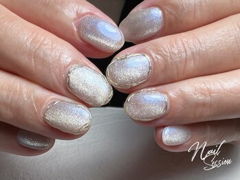 ネイルセッション(nail session)/一番人気☆オーロラマグネット