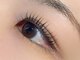 コキーユ(Coquille)の写真