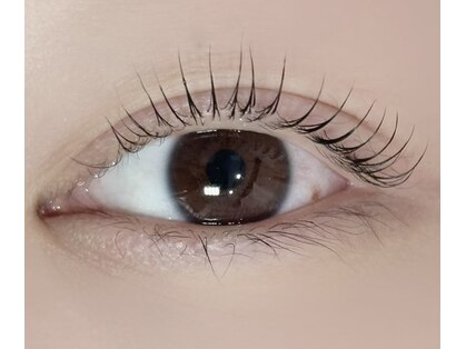 リスドーレ(Lys dor'e)の写真