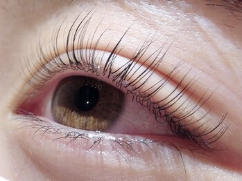 カラン 焼津店(CALIN)/ラスティングカール