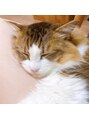 ディオーネ 恵比寿駅前店(Dione) 猫飼ってます！甘えん坊の子で毎日癒してくれます(^^)