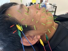 サロン ド グランツィア(salon de Granzia)