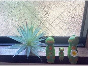 ポーラ エステサロン Sサフィニア新松戸店(POLA)/店内