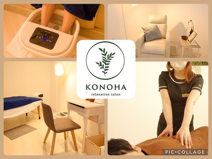 コノハ(KONOHA)の写真