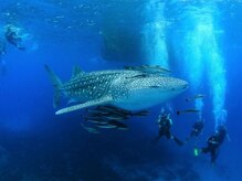 アジアンリラクゼーション ヴィラ 大橋店(asian relaxation villa)/タイ　ビーチリゾートのサムイ島