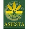 アジエスタ 心斎橋店(ASIESTA)のお店ロゴ