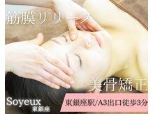 ソワイユ 東銀座店(Soyeux)