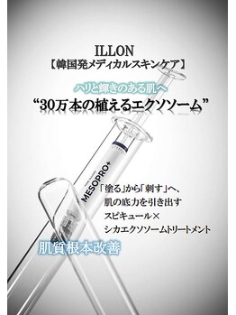 マーガレット(Marguerite)/韓国肌管理♪植えるエクソソーム