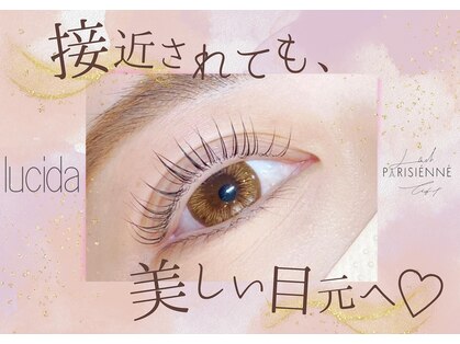 ルシーダ(lucida)の写真