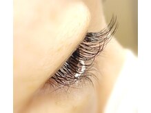 シエル(Ciel)/フラットラッシュ　80本