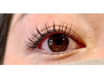 エルモ(elmo)/フラットラッシュ120本