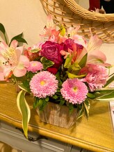 ヴィオラ(Viola)/OPEN祝い♪