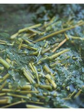 イチニーキュー(129)/大人気のモリンガ蒸し