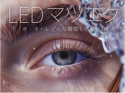 ヴィーヴ アイラッシュ(vive eyelash)の写真