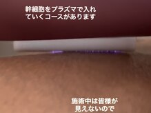 ティアラ(TIARA)/プラズマ