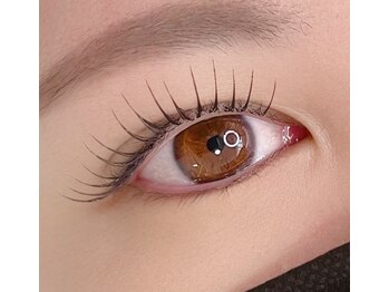 ミオラス(Miolus)/LEDフラットマットラッシュ140本