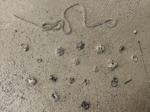 リディネイル(Lidy nail)/Parts 【Lidy nail】 