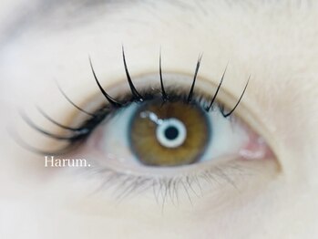 ハルム(HARUM)/フラットラッシュ100本