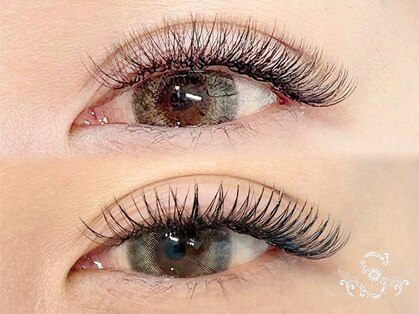 スムース(Smooth)の写真